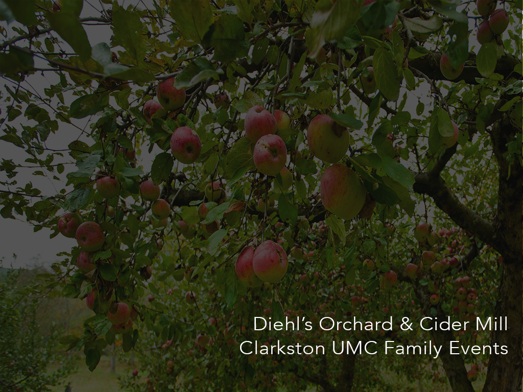 Orchard