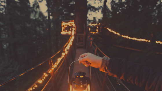 Lightthe night